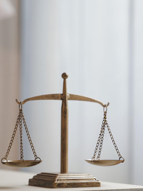 Ann-Maree Radford Personal Assistant